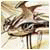 uidqwjxzcyiwq's Avatar