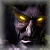 Liacuuckscous's Avatar