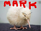kiwiMark's Avatar