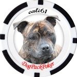 cali61's Avatar