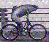 Bmxicle's Avatar